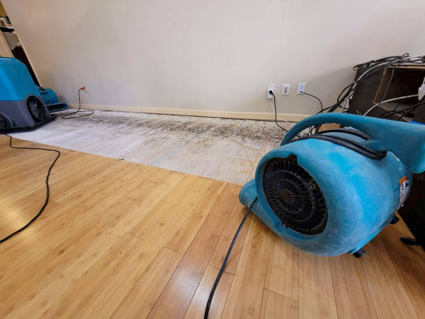 Professional Flood Damage Cleanup technician working in Newark, DE